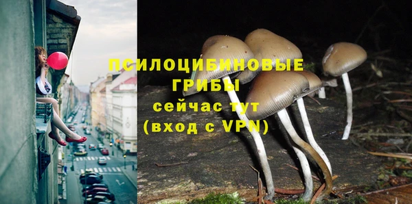 кокаин перу Белокуриха